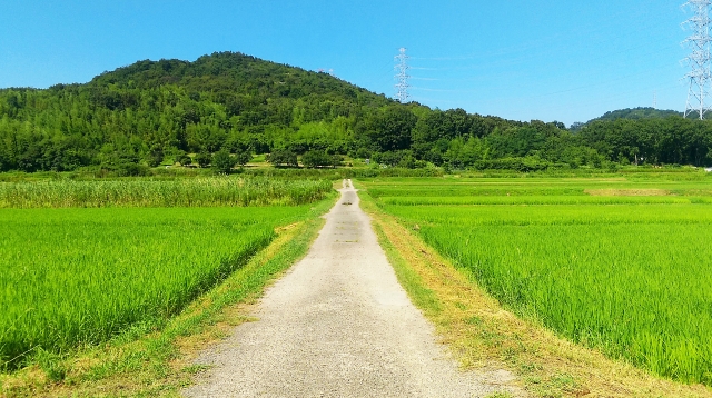 インスタ集客への道